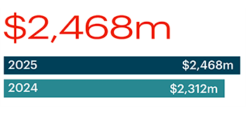 revenue-from-portable-segments-2024