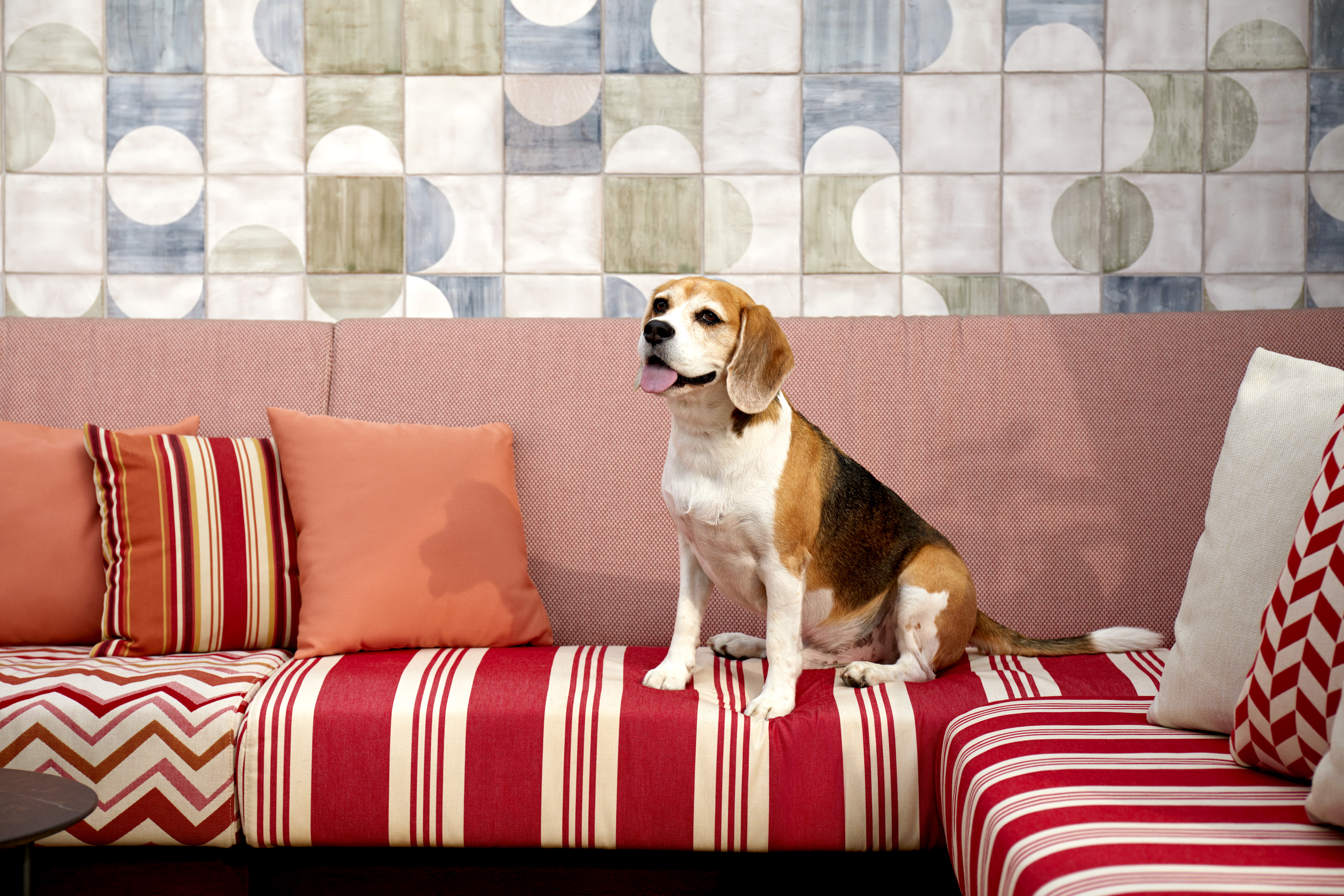 Kimpton growth