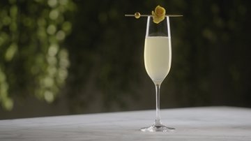 Regal Orchid with Twist
