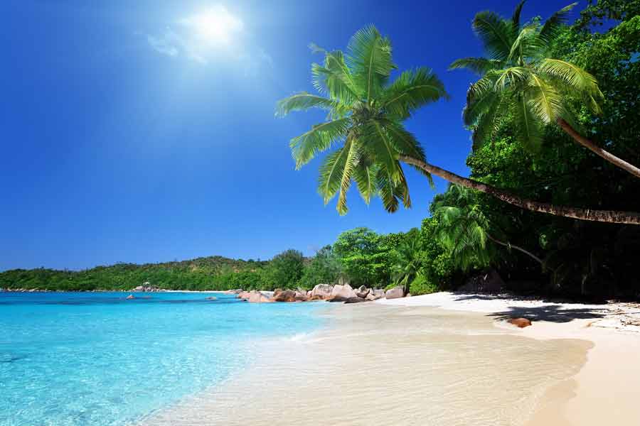 Bahia de las Aguilas (Source: Google Images)
