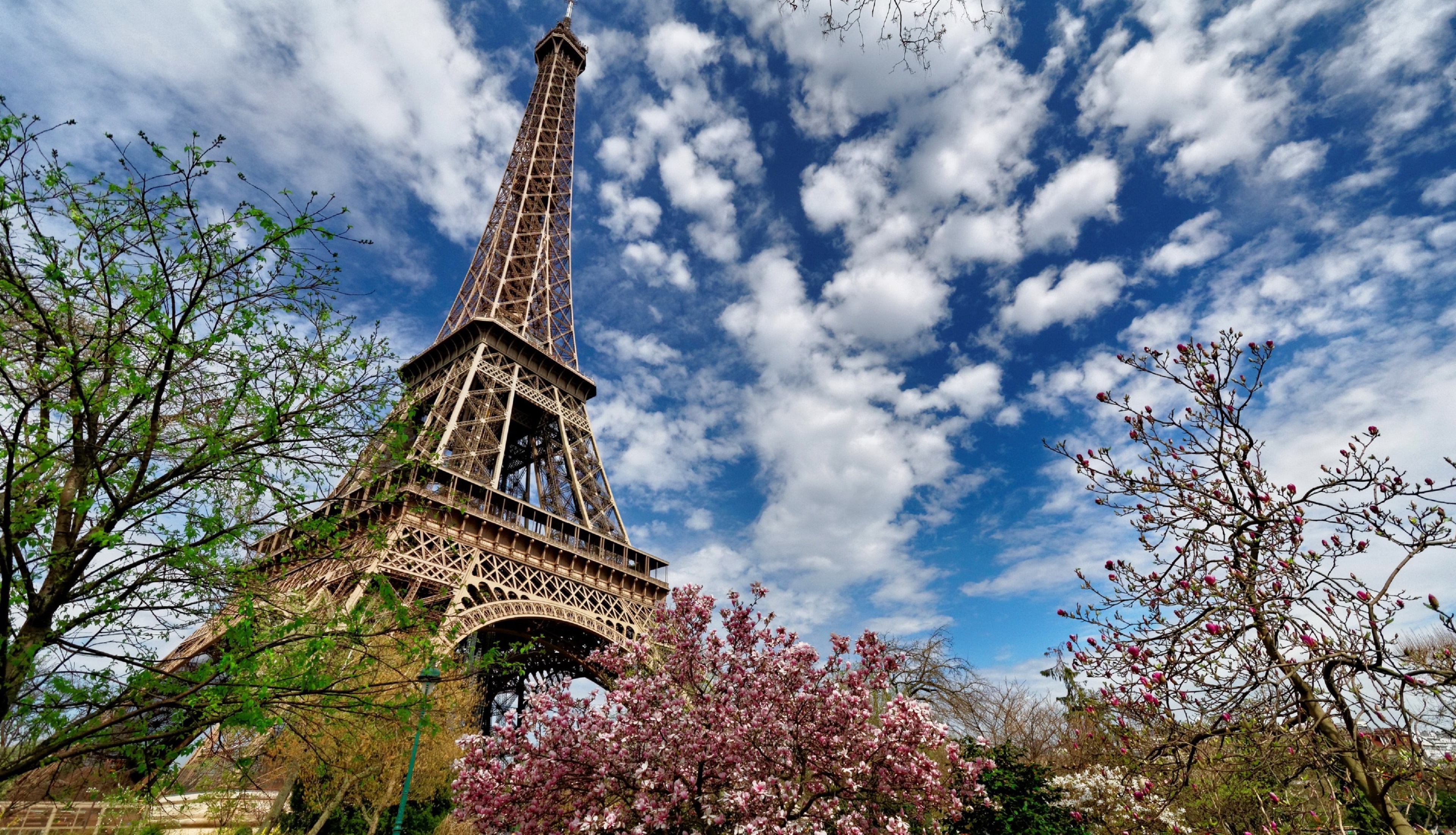 Eiffel Tower (Source: Holiday Inn Paris – Gare de Lyon Bastille)