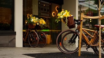 Voco Wyld Bikes in Auckland