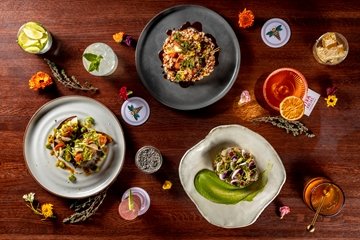 Viva Abejas Dinner