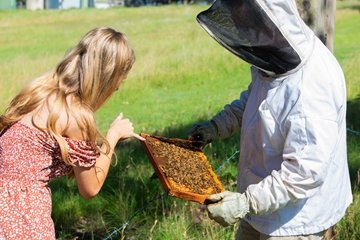 Voco akirton Bee Farm