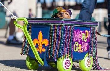 Source Shreveport Bosssier Fun Guide