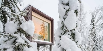 Arctic Tree House