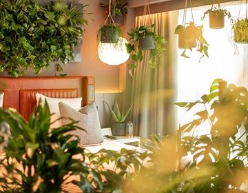 Chambre Verte
