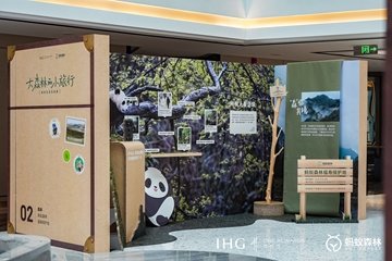 Forest To Go Exhibition 1