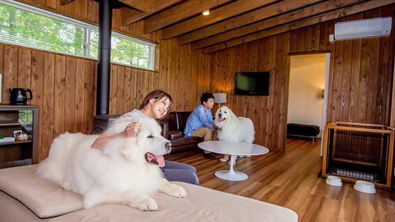 Image Gallery - Holiday Inn Strengthens Japan Presence with new Resort and Urban Stay Experiences