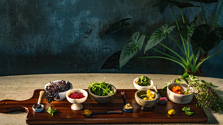 A dark pancake crepe with colorful fruit, pomegranate seeds, and artistic sauce on a white plate.