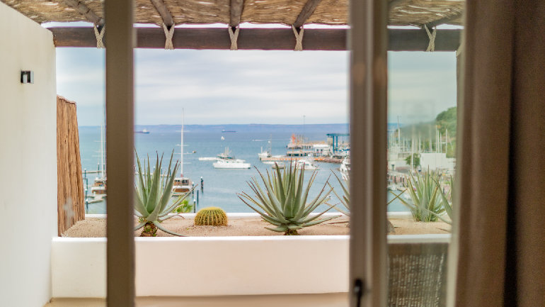 Private terrace overlooking a marina with desert plants and waterfront views.
