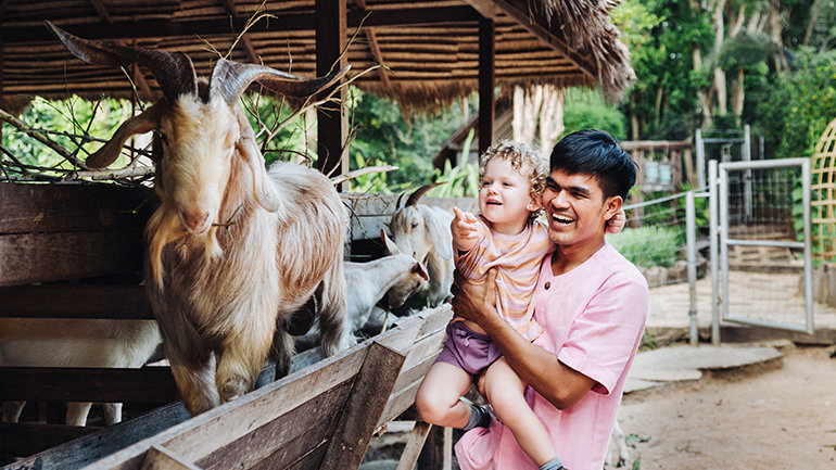Image Gallery - Less Waste, More Taste: Six Senses Joins the UNEP and UN Tourism “Recipe of Change”