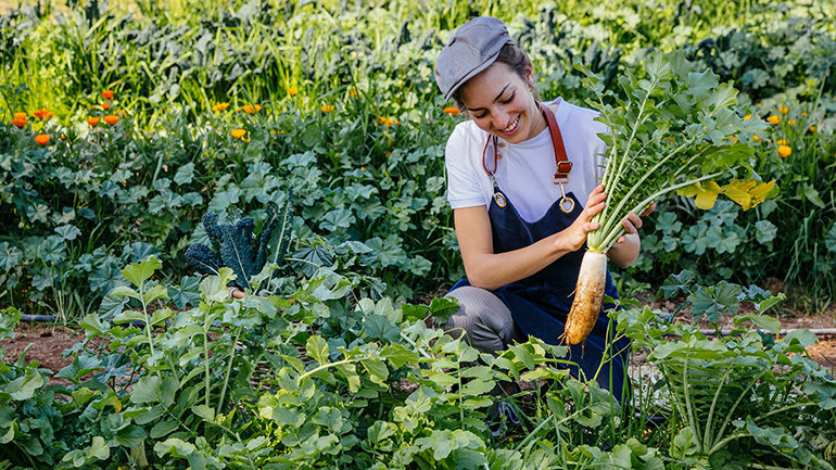 Image Gallery - Less Waste, More Taste: Six Senses Joins the UNEP and UN Tourism “Recipe of Change”