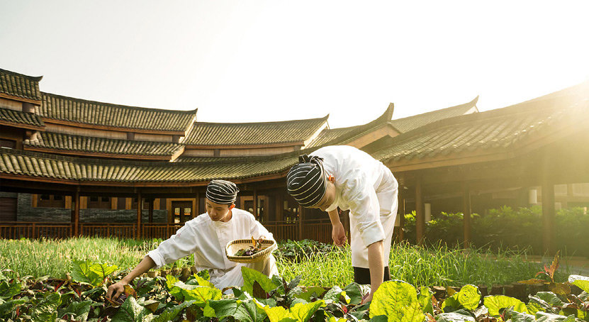 Eliminating food waste