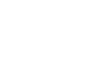 Avid