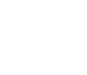 Voco